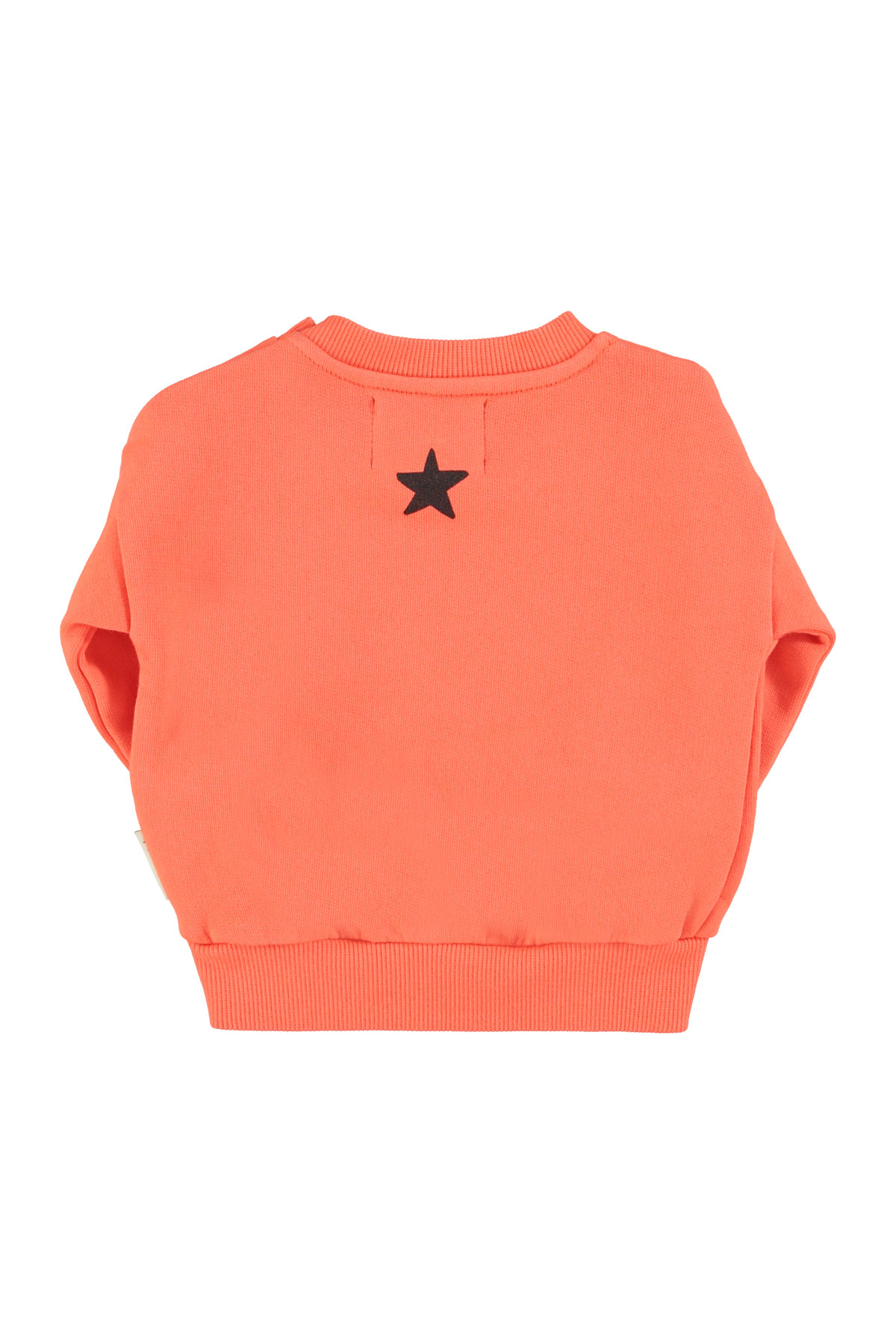 aw25-flp2503-b-2.jpg