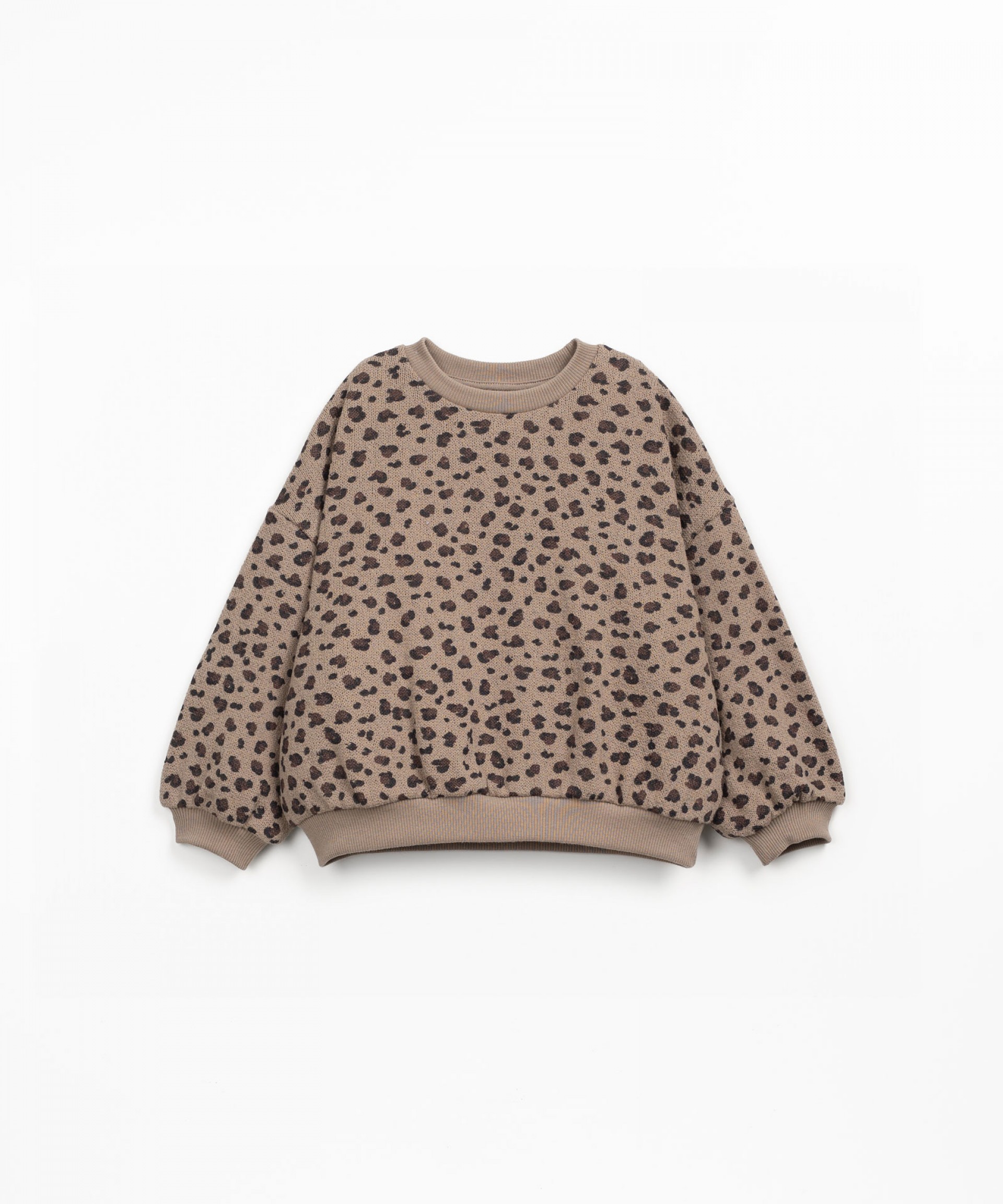 aw254ar11352-e754b-1.jpg