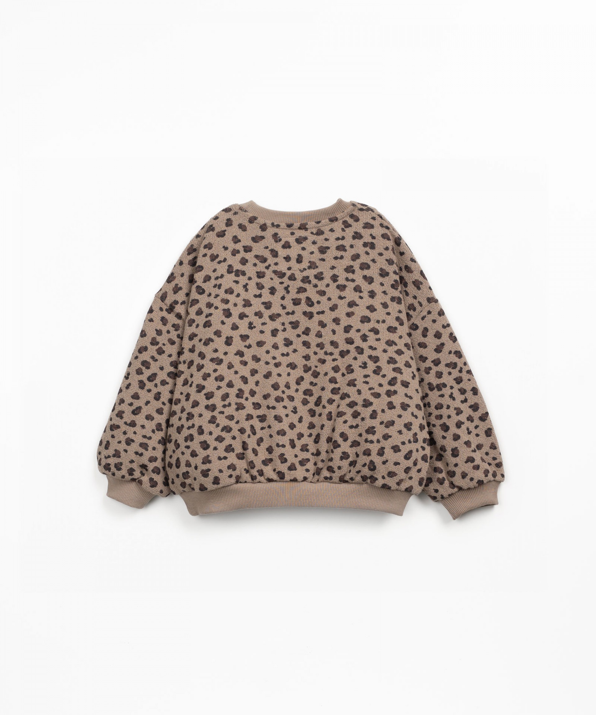 aw254ar11352-e754b-2.jpg